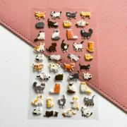 Kedili Kabartmalı Etiket resmi